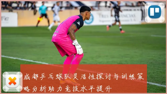成都乒乓球队灵活性探讨与训练策略分析助力竞技水平提升