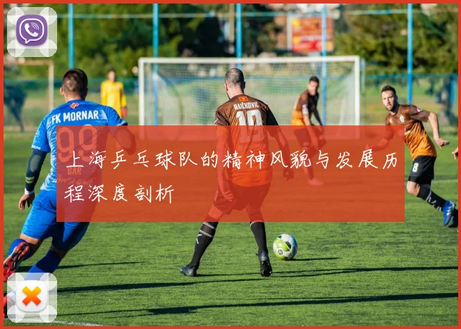 上海乒乓球队的精神风貌与发展历程深度剖析