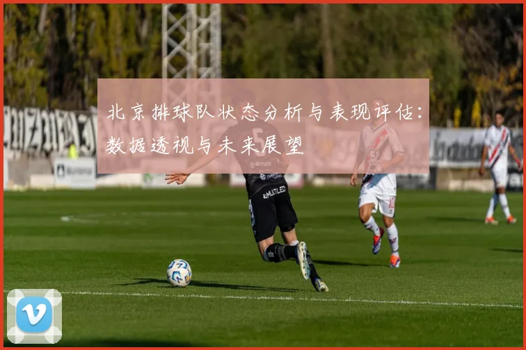 北京排球队状态分析与表现评估：数据透视与未来展望