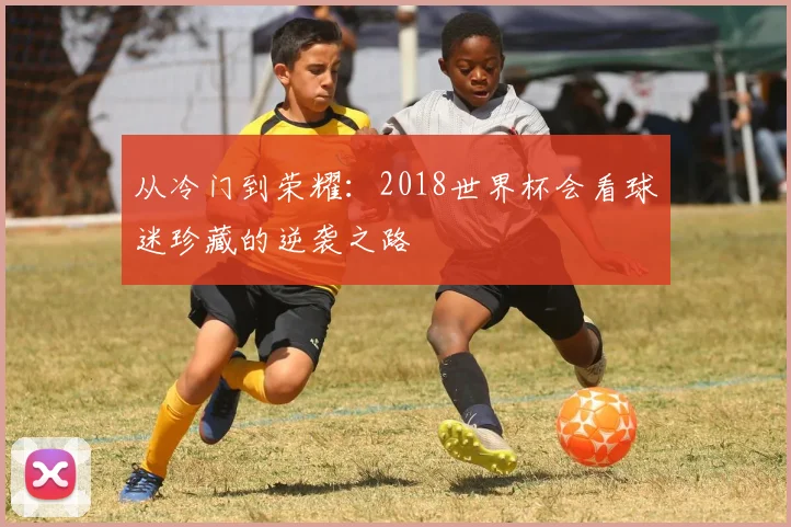从冷门到荣耀：2018世界杯会看球迷珍藏的逆袭之路